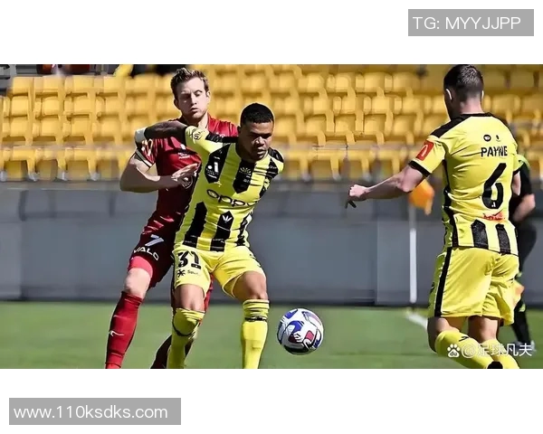 惠灵顿凤凰队与布里斯班狮吼队的精彩对决即将上演 惠灵顿凤凰队与布里斯班狮吼队的精彩对决即将上演