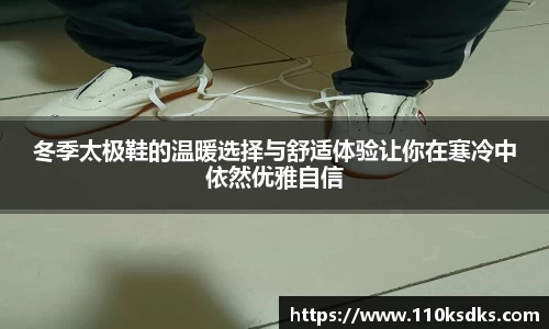 冬季太极鞋的温暖选择与舒适体验让你在寒冷中依然优雅自信